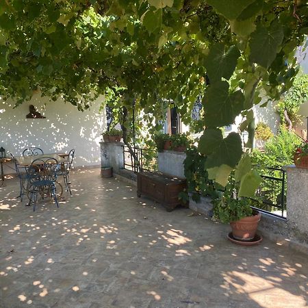 Alloggio Turistico La Stalla Tuscania Kültér fotó
