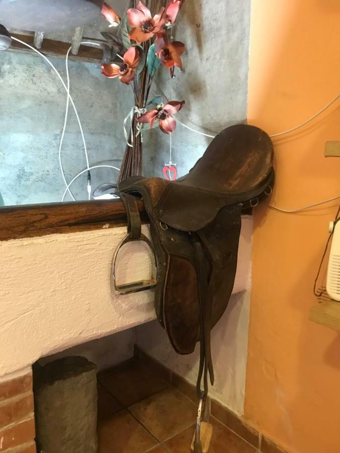 Alloggio Turistico La Stalla Tuscania Kültér fotó